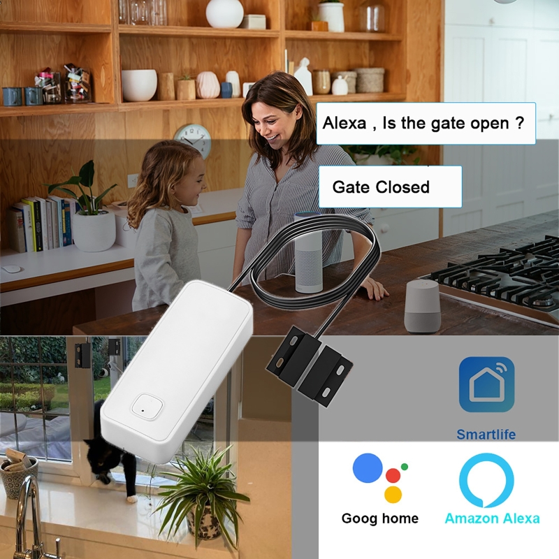 Smart Door Window Magnetic Det - Wireless Door Sensor recension och pris