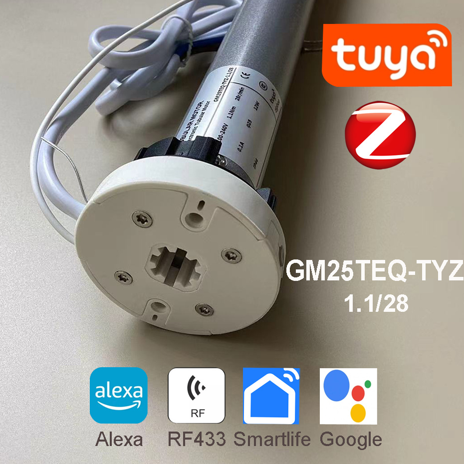 Tuya Zigbee GM25TEQ 1.1N Smart - Smart Home Youtube recension och pris