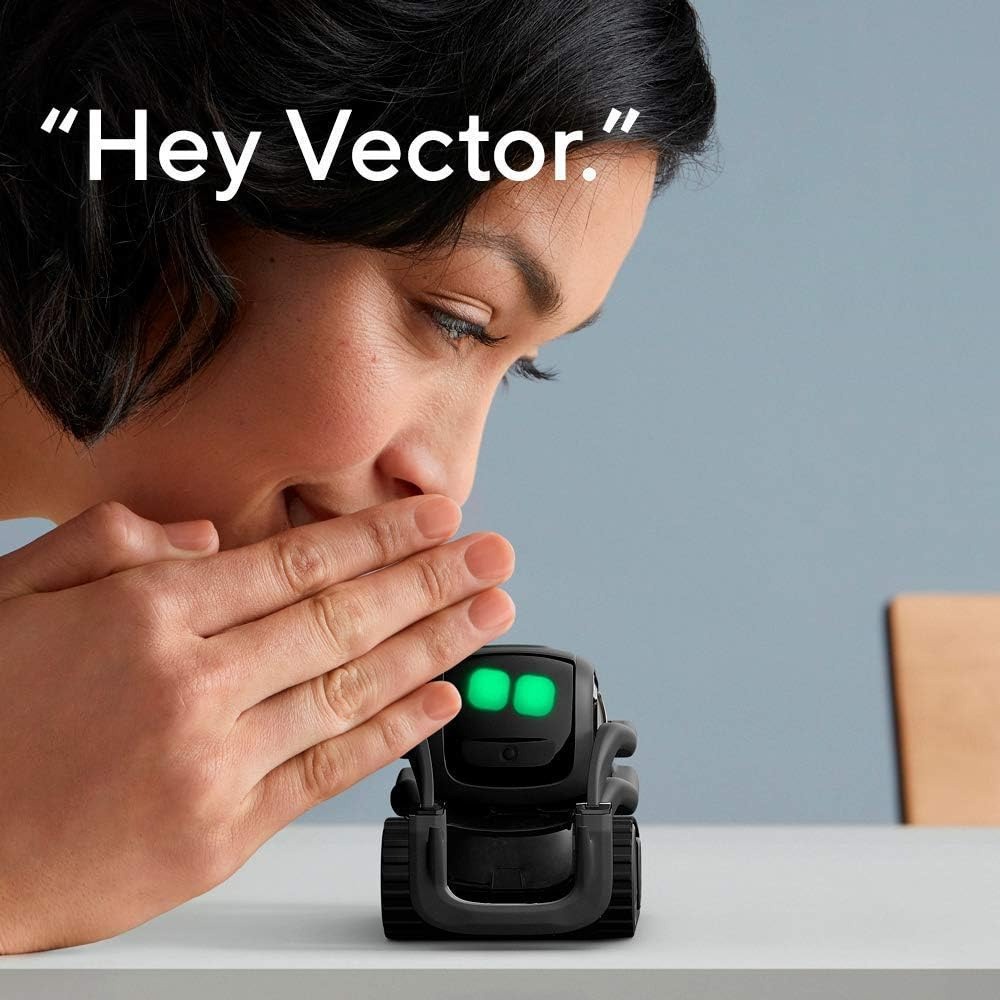 AI ChatGPT 2.0 Connected Robot - Smart Home Control recension och pris